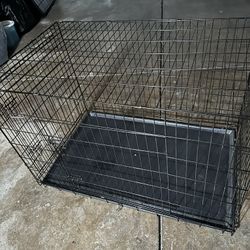 Medium Dog Crate 