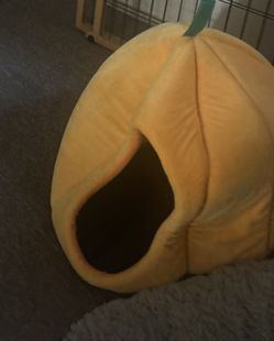 Pet pumpkin bed