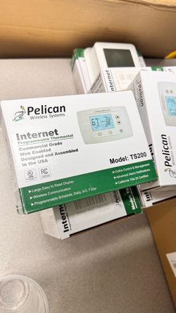 Pelican Wireless Systems TS200,
