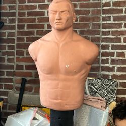 Punching Guy