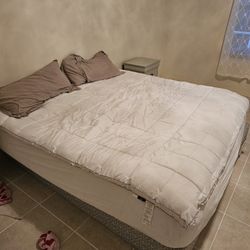 King Mattress w/ Box Springs
