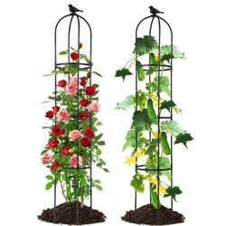  Vegetable Pea Bean Cucumber Trellis Raised Bed, 2 Pack