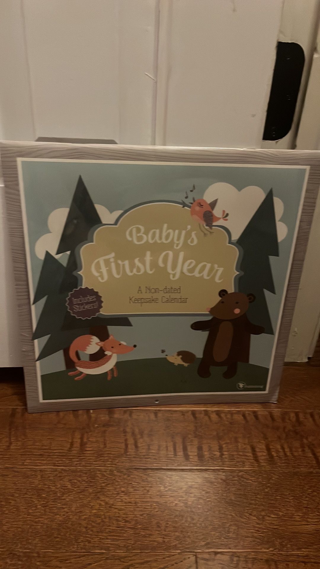 Baby’s First Year Undated Calendar Baby Book