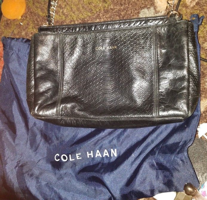 Cole Haan Snake Skin Purse