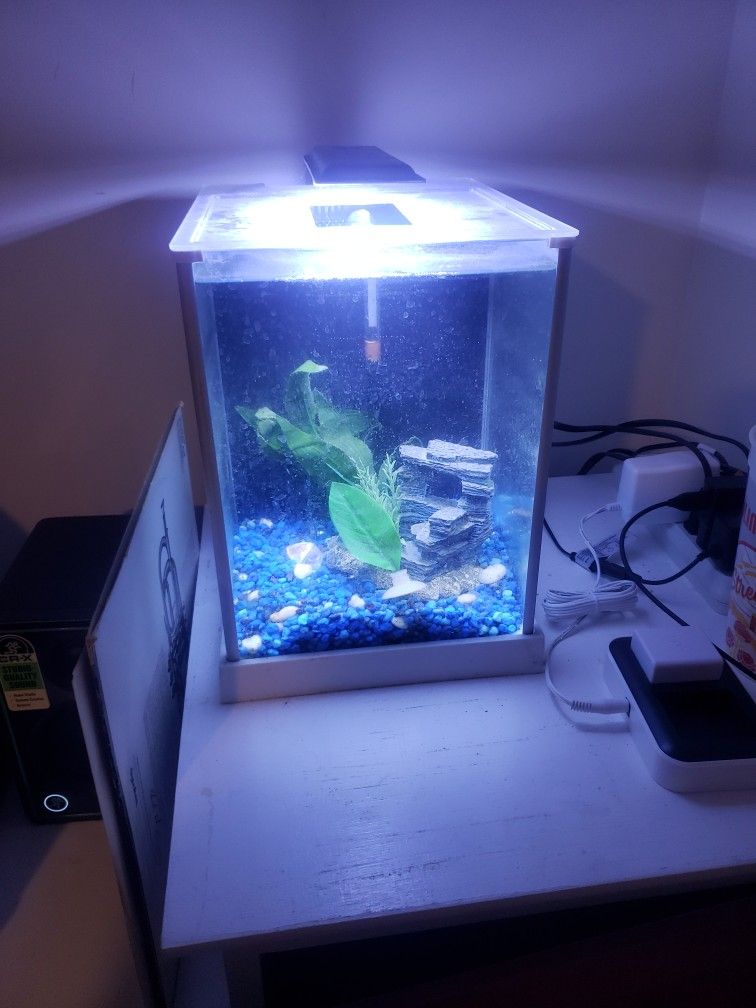 Small Fish Tank