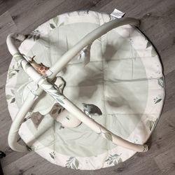 Baby Play Gym 