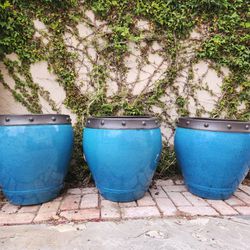 Large Terracotta Pots (New)