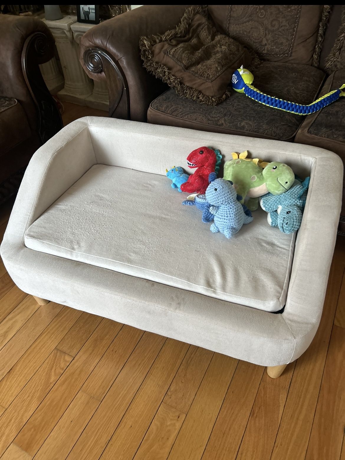 Modern Dog Bed