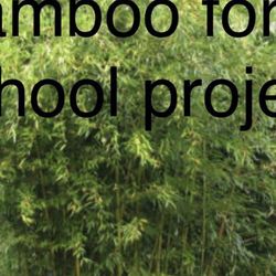 Bamboo