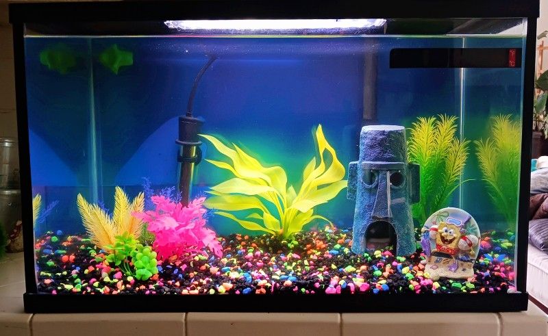 SpongeBob/Squidward House Aquarium Kit. Pecera Completa Con todos Los Accesorios Necesarios. Just add fish