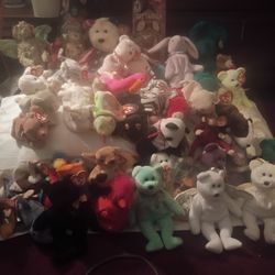 Beanie Baby Collection 40 Babies