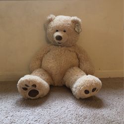 25 Inch Plush Teddy Bear 🧸 