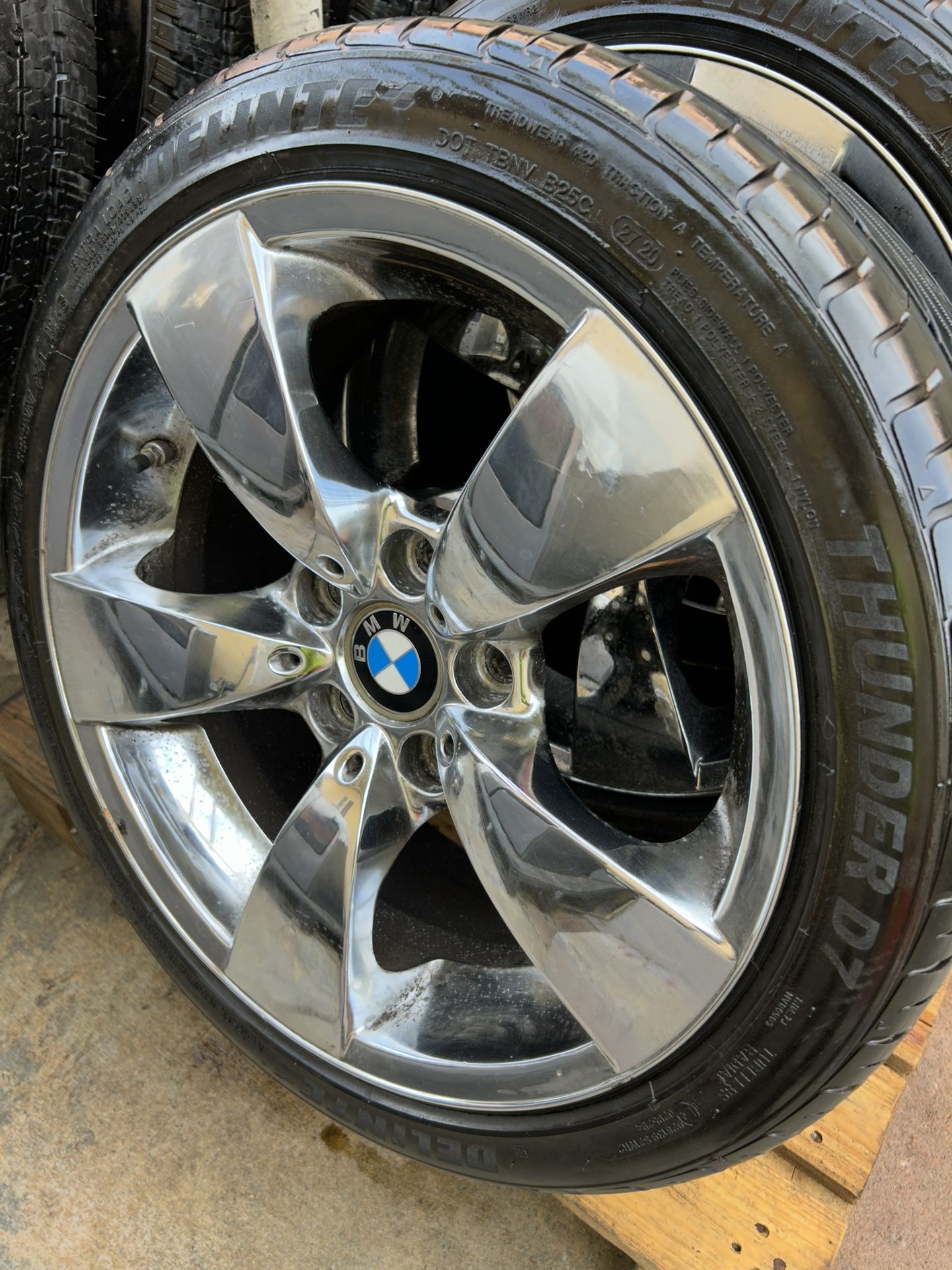 4- DELINTE RADIAL SPORTS