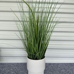 Artificial Plant - Model Home Decor 