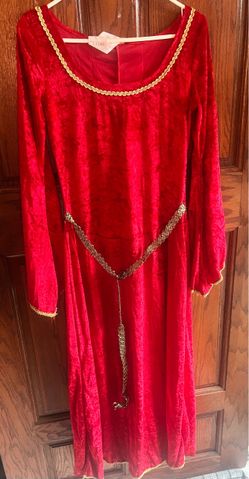 Adult Ruby Sorceress costume