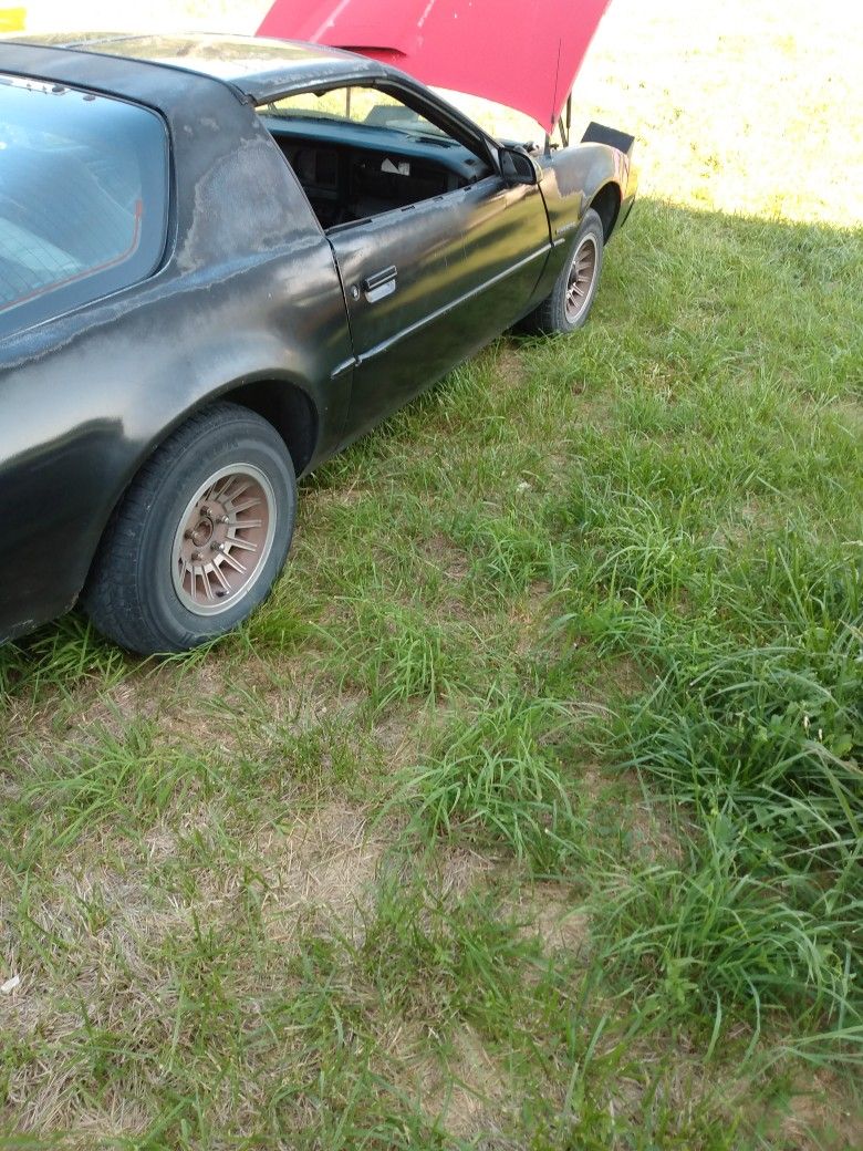 1987 SSA T-tops Formula Firebird 500 Daytona Order Package Pace 