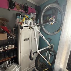 Thrown X Chad (bike)