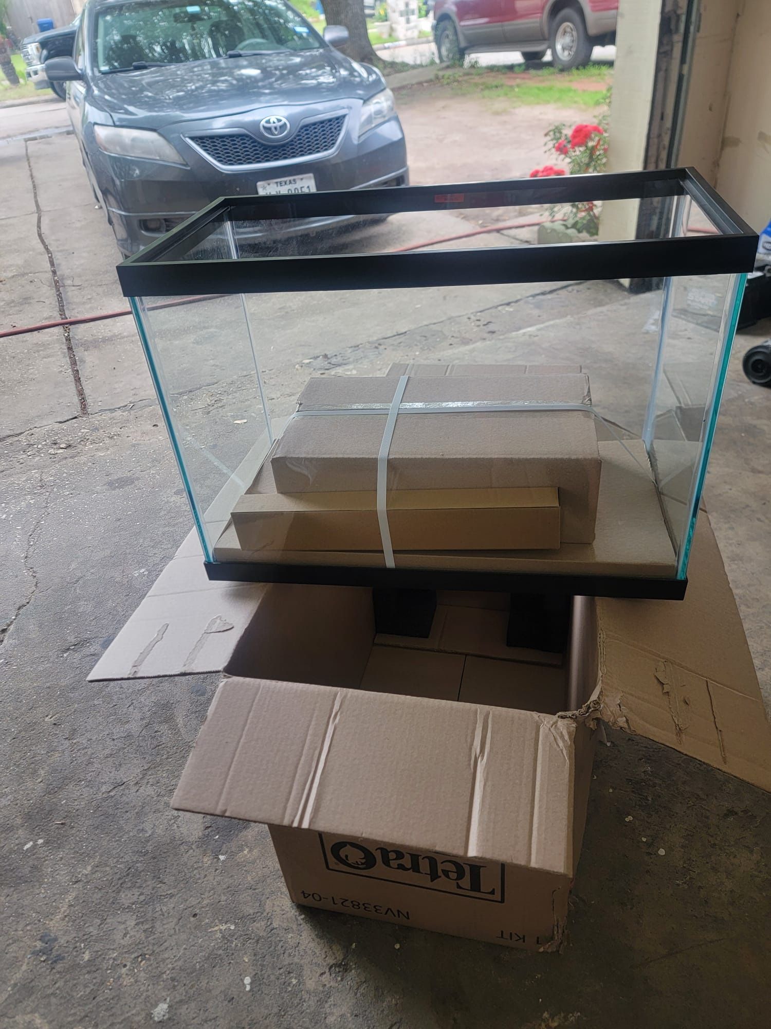 Fish Tank New New