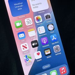 iPhone XS Max Unlocked 