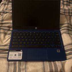 HP Chromebook 11.6 Inch