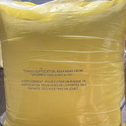 2 BRAND NEW BEAUTIFUL THROW PILLOWS