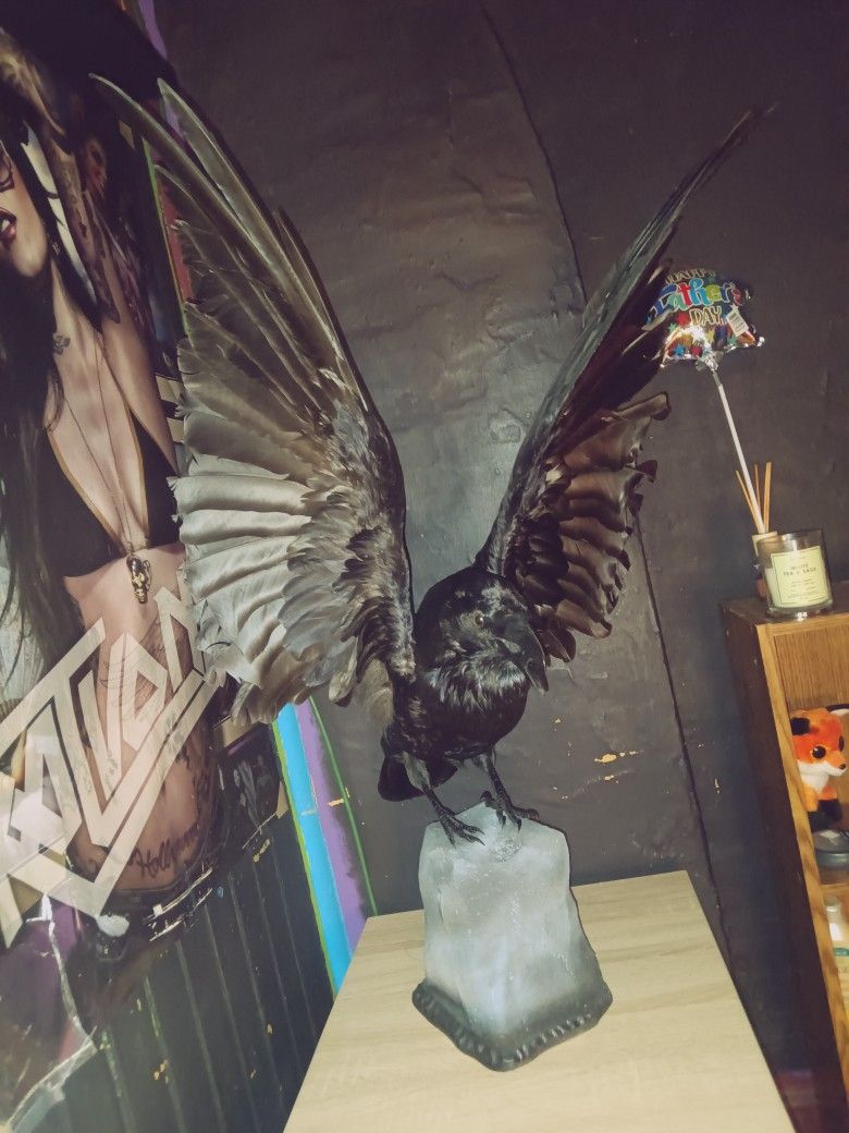 Statue Of a Real crow