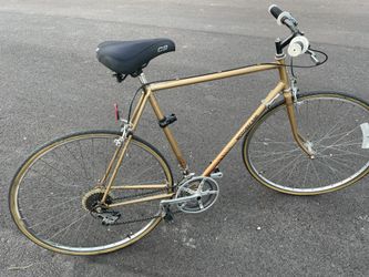 12 Speed Custom French Racer
