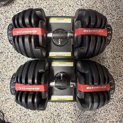 BowFlex Dumbbells 