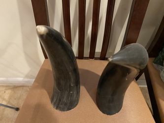 Real Horns