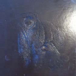 Hardcover Book/ Wild Animals