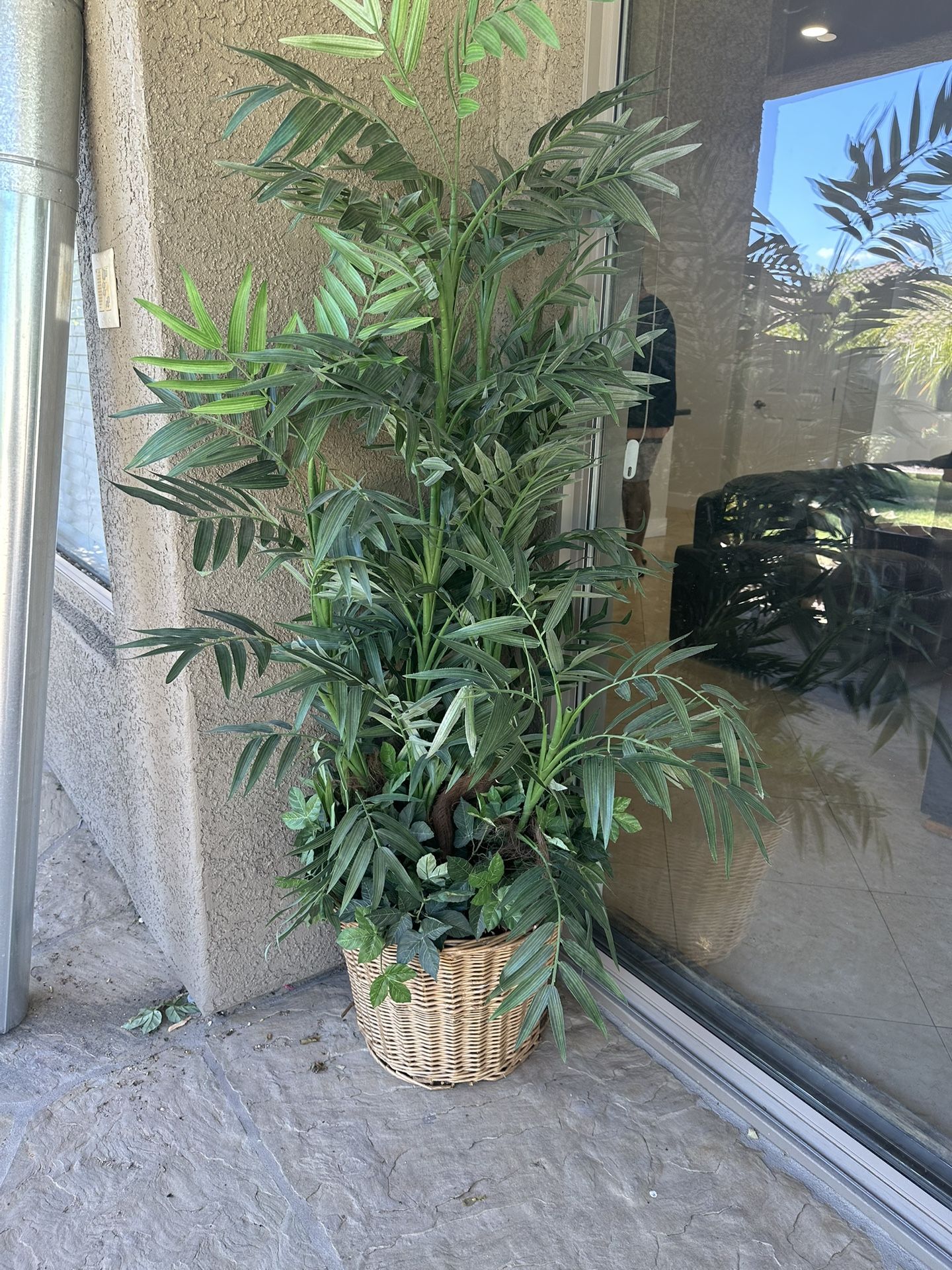 House Plants,All Products : American Fashion Style Bags On Sale