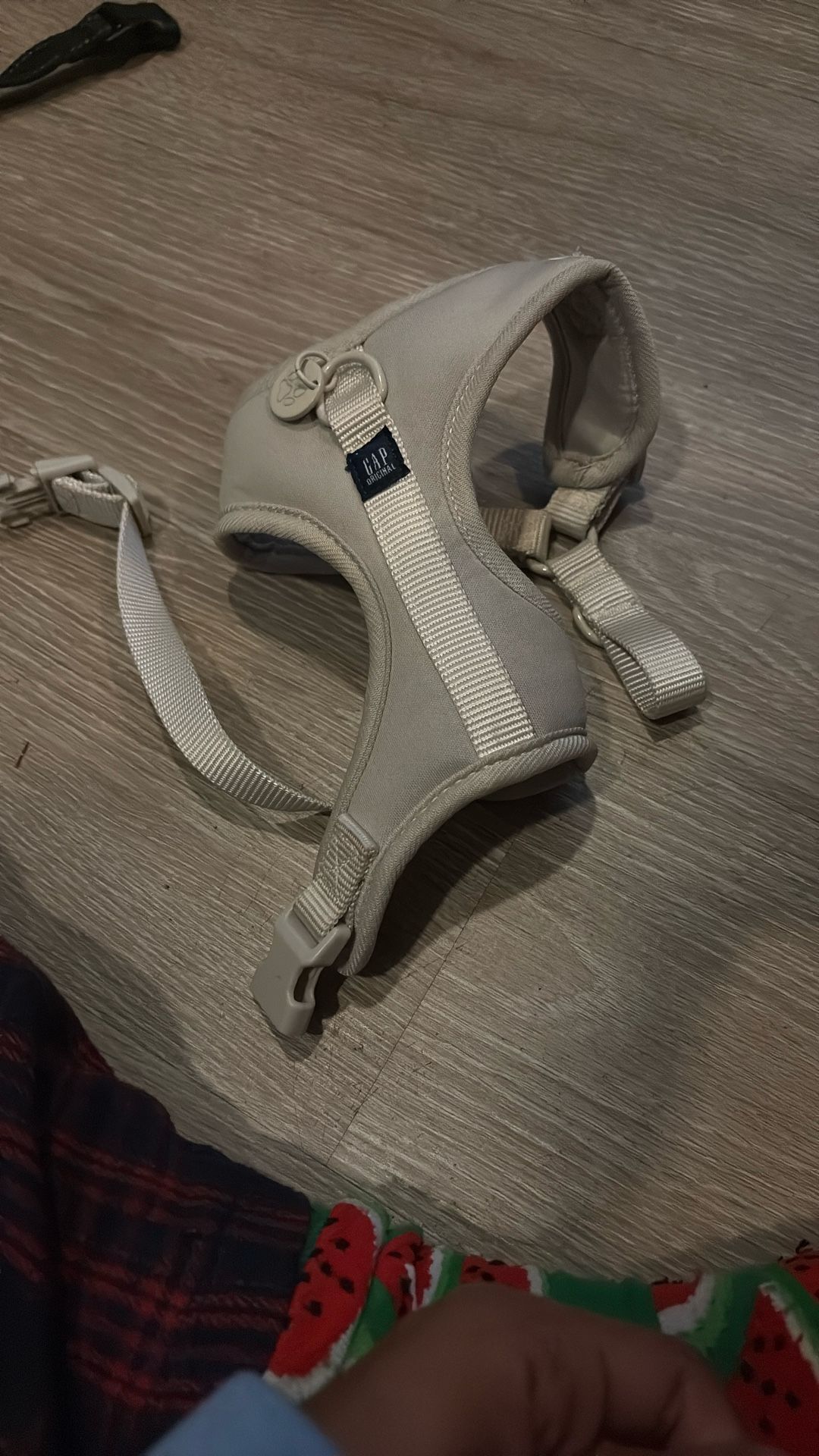 small dog gap harness