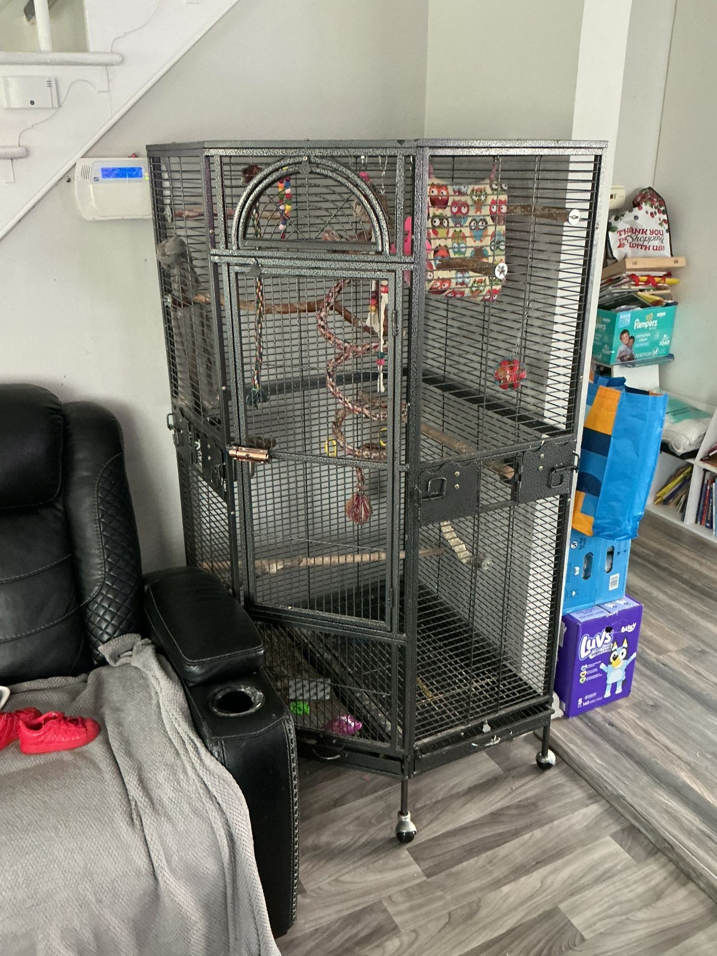 Huge Bird Cage