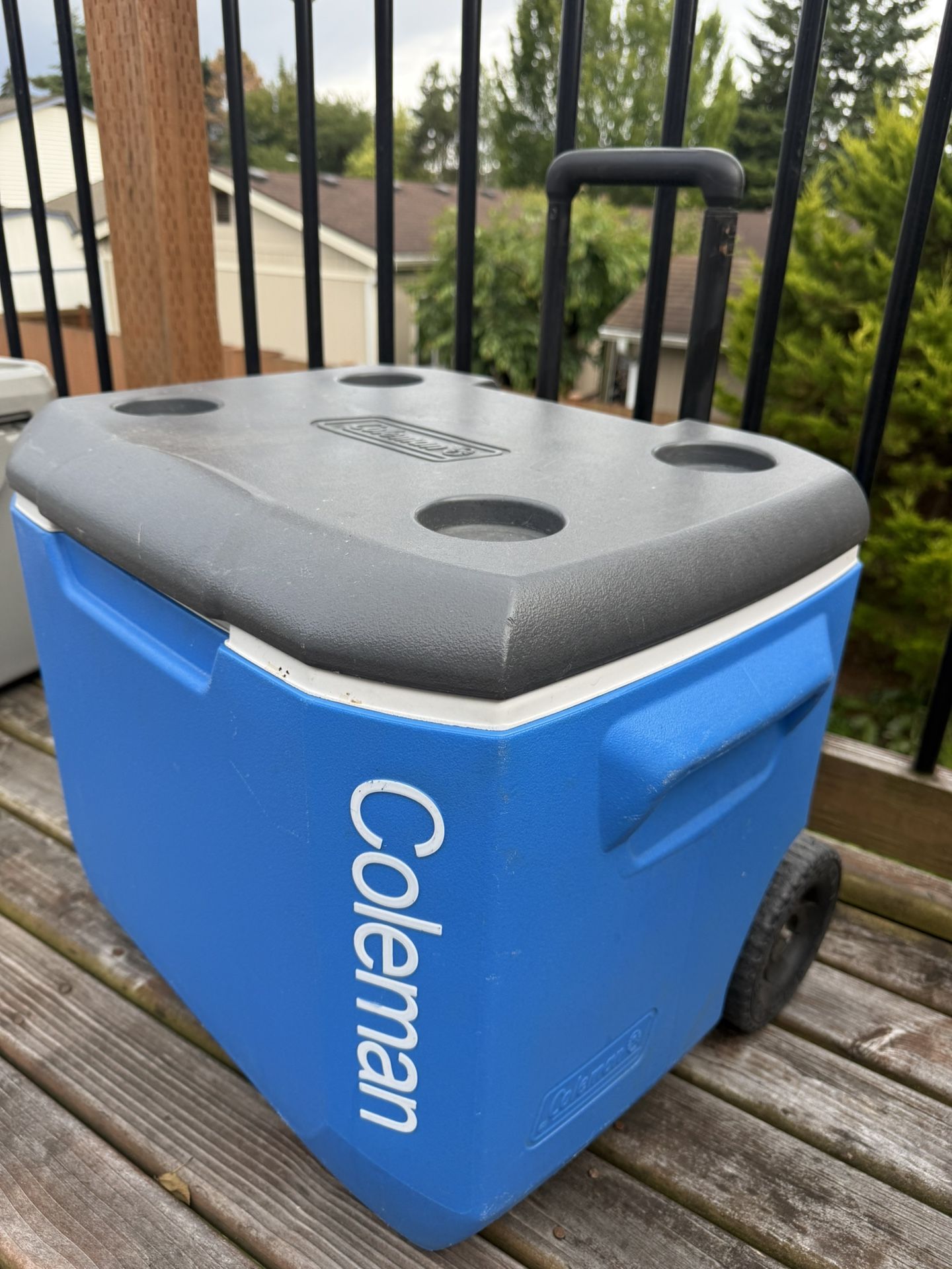 Coleman Cooler