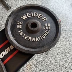 44 Lbs Weights 