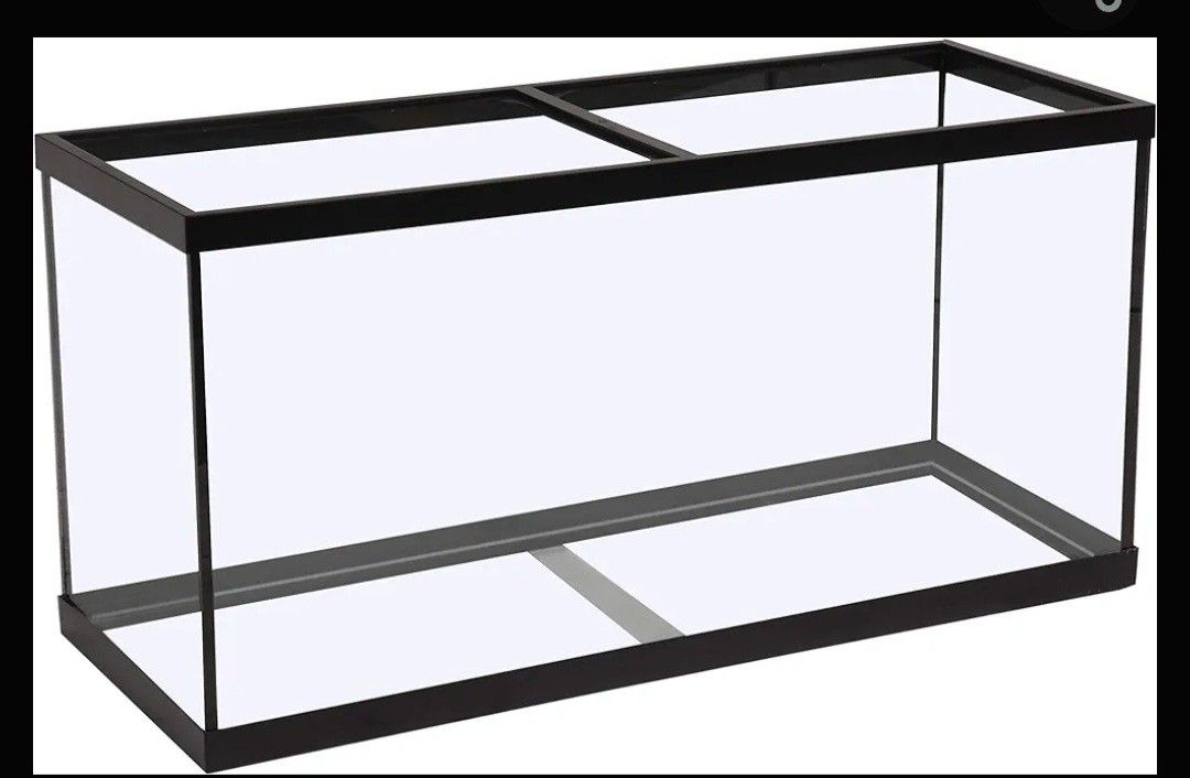 Aquarium Or Fish Tank