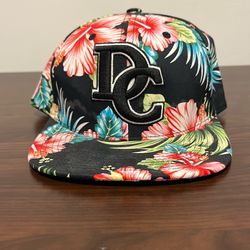 Washington DC hat