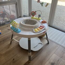 Skip Hop Activity Center