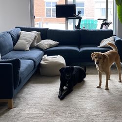 Blue Interior Define Couch 