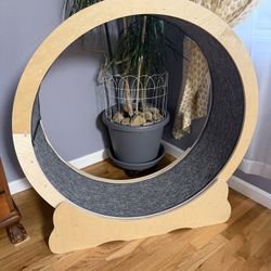 Cat Exercise Wheel