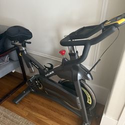 Cyclace Exercise Bike, Magnetic Stationary Bike for Home