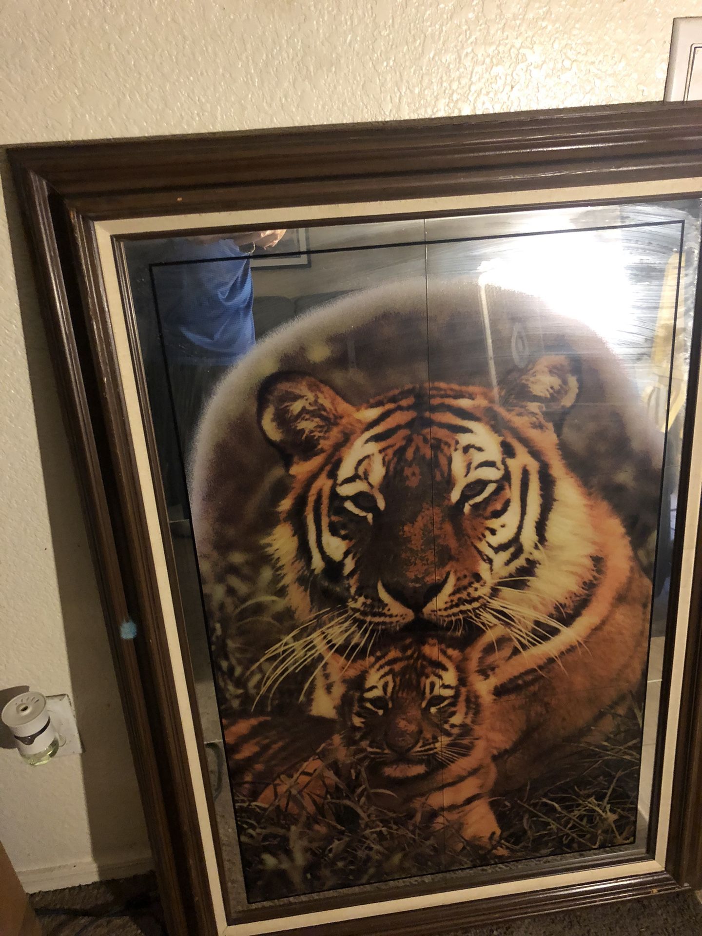 Huge Mirror. The Frame Has A Couple Nicks, But Nothing Major. $30 Pick Up In Apache Junction. The Mirror Itself Has No Damage At All.