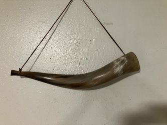 Animal Horn