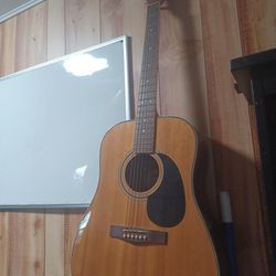 Fender Starcaster Acoustic Guitar