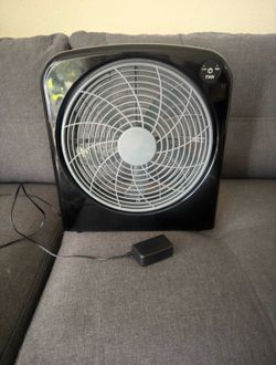 Fan
