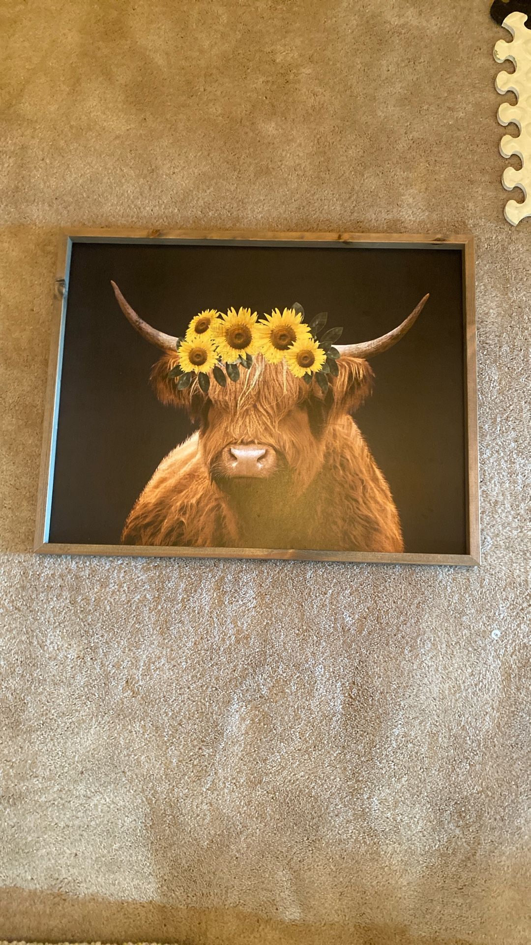 Highland Cow With Sunflowers