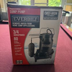 Professional Sump Pump