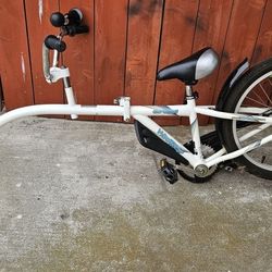 WeeRide CoPilot