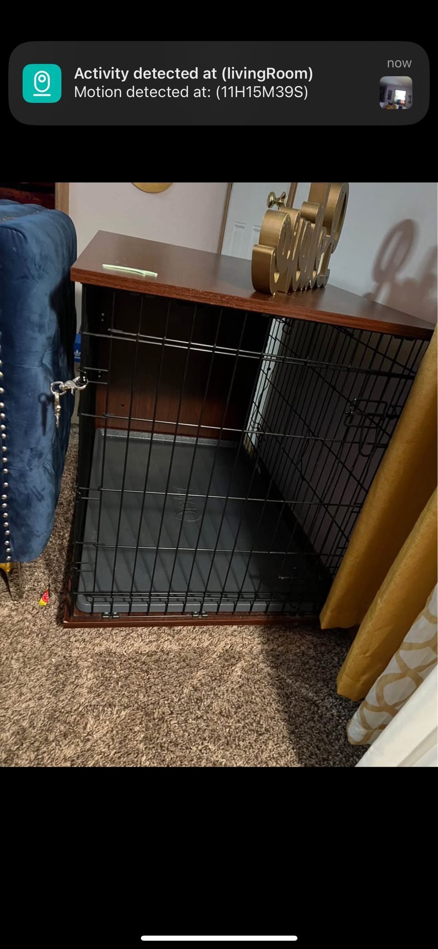 Desk / Cage