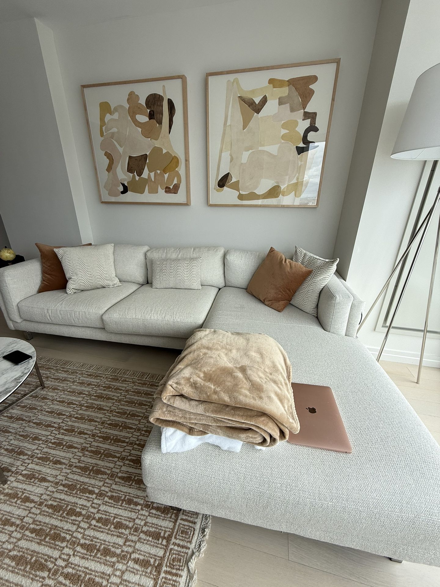 Sectional Couch